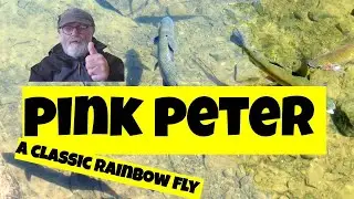 Fly's for rainbow trout (Pink peter)