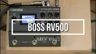 Boss RV-500 Reverb preset - Real Whales - ambient soundscape guitar  - whale sounds