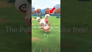 New Spinda Patterns coming to Pok&eacute;mon GO?!