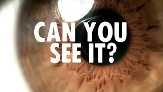 Can You See It? | Extinction Rebellion France