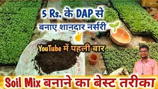 सिर्फ 5₹. के DAP से बनाए शानदार नर्सरी 🌱✌️👍 to prepare soil mix for a nursery tray.