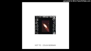 Colin Newman: 12. Blue Jay Way