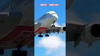 The MASSIVE Emirates Airbus A380 Super Jumbo at Los Angeles International