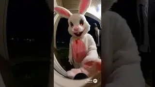 KILLER BUNNY BRANG SLENDERMAN (ring doorbell)