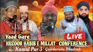 🔴Live_Now -🔴Live_Now -Yaad Gare  LIVE  HUZOOR HABIB E MILLAT CONFERENCE_Shahid raza _peer Muhammad