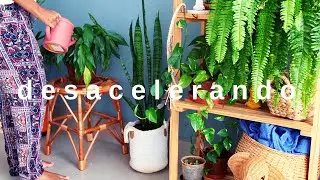 Slow living: o que &eacute; e como come&ccedil;ar