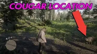 RED DEAD REDEMPTION 2 HOW TO FIND A COUGAR / COUGAR LOCATION