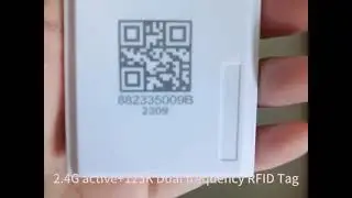 Dual frequency 2 4G active RFID tag