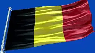 🚩Belgium Flag Waving | GREEN SCREEN & CHROMA MATTE🚩