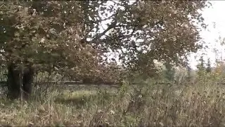 F&oslash;r L&oslash;sning