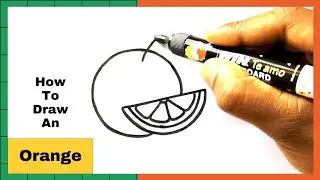 How To Draw An Orange | Orange Drawing Very Easy | Easy Drawing | Drawing Steps 101