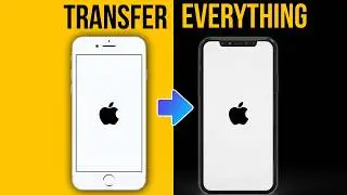 How to Transfer Data from iPhone to iPhone | 2 Easy Methods | Transfer Data to New iPhone