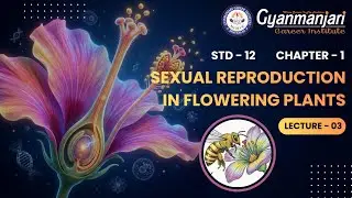 Biology | STD 12th | Ch 1 | Sexual Reproduction in Flowering Plants | Lec 3 | ENG | GCI | 27.01.2026