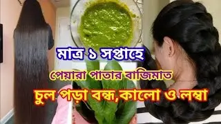 ১ দিনে চুল পড়া বন্ধ। পেয়ারা পাতার জাদুকরী উপকারিতা 🌿 | ঘন, লম্বা ও কালো চুলের সহজ উপায় 