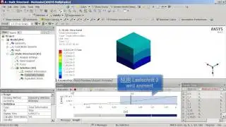 Die Animiation einzelner Lastschritte in ANSYS Workbench&trade; v14.5.7