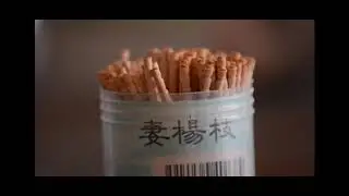 田中ヤコブ
