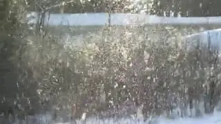 Sunlit Snowfall