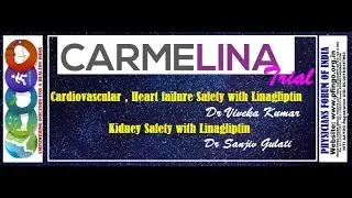0076: LINAGLIPTIN CARMELINA TRIAL: Cardiovascular Safety: Dr V Kumar; Kidney Safety: Dr S Gulati