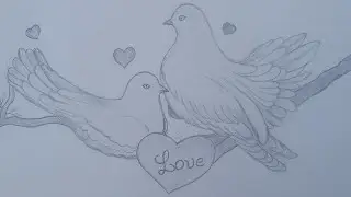 Love birds drawing easy pencil / How to draw two Doves with Love sign