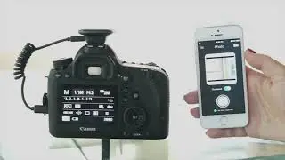 Pulse Demo