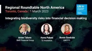 Nature is next: integrating biodiversity risks into financial decision making