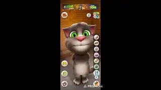 my Talking Tom game