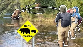 How to visit Brooks Falls -- Part 2: Boardwalk, Bears, and Wading