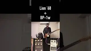 Universal Audio Lion + Boss BP-1w Guitar Play #shorts