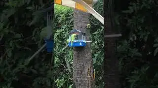 IMG 0193