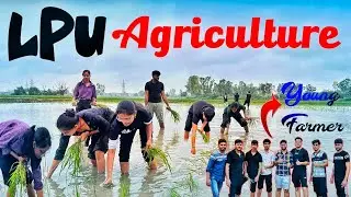 Agriculture at LPU | Practical Class | Paddy transplantation | Hands-on Learning