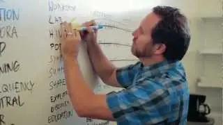 MBA in Design Strategy at California College of the Arts