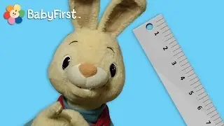 Long and Short | Harry the Bunny | BabyFirstTV