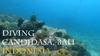 Diving Candidasa, Bali