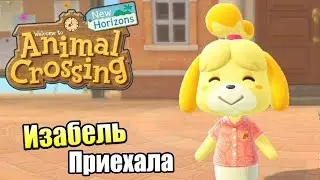 Animal Crossing New Horizons #19 &mdash; Изабель Приехала {Switch} прохождение часть 19