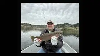 Montana Fishing Guides: Fly Fishing the Missouri River - Recent Trip Highlights