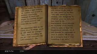 Let's Read A Village in Turmoil (Let's Read the Books of Enderal, Book 44)