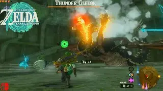 Legend of Zelda TOTK - Defeat Strong Thunder Gleeok & Coliseum Ruins - Hyrule Field