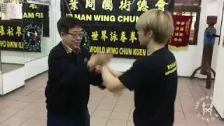 Wing Chun Training - Master Sam Lau & Max