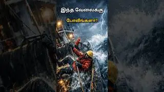 The Most Dangerous Job in the World 😱 | High Risk, High Pay | Mathiyugam