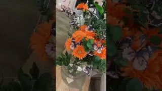 &ldquo;Tour of a Beautiful Garden in Spain | Natural Plants, Flowers, and Unique Decoration Shops&rdquo;