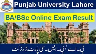 PU BA BSc Part 2 online Exams Result 2020 News