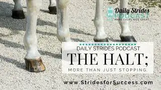 [Encore] Strides Revisited: When Halt Becomes More than Just Stopping Your Horse... (Originally...