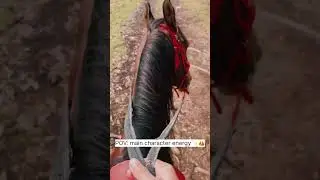 #shorts#youtubeshorts#cinematic#aesthetic#telugusongs#dheeradheera#horseriding#princessvibes#charan