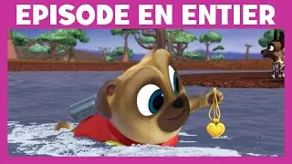Le Monde de Bingo & Rolly - Moment magique : Le jeu de piste safari