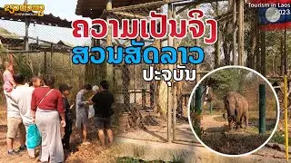 ຄວາມເປັນຈິງ | ปัจจุบัน ความเป็นจริง สวนสัตว์ในลาว