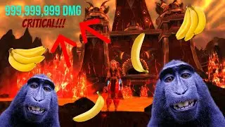 81 Twink Rogue 3 Million Crit MoP 5.4.8