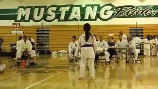 Heian Sandan - FSKA CA 2014 Compitition