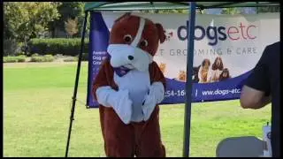 Breast Cancer Awareness Dog Event Segment