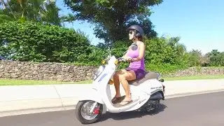 808 Mopeds - Cruising with Aloha - Mopeds and Scooter Rentals on Maui - Hawaii