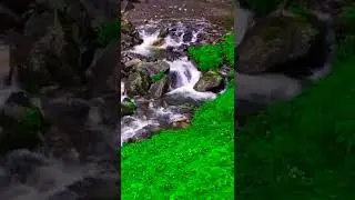 INDIA 8k 4k HDR (Dolby)hort#viral#video#hort#video#short#viral#video#TikTOK#indian #instagram #4K#8K